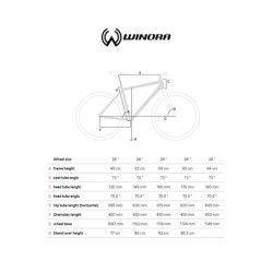 Compra Bicicleta Winora Domingo24: Estilo y Potencia 24V