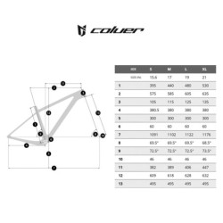 Bicicleta MTB Coluer Ascent 291 Verde: ¡Aventura Espera!