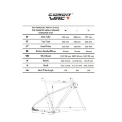 Bicicleta Eléctrica Conor WRC Borneo 29 Gris - ¡Compra Ahora!