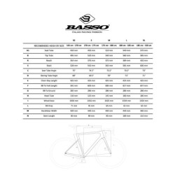 Bicicleta Gravel Basso Palta: ¡Potencia y Estilo! Compra Ahora