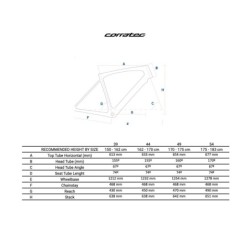 Compra la Bicicleta MTB Corratec X-Vert Elite Blanca - ¡Aventura!