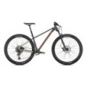 Bicicleta MTB Mondraker Chrono DC 29 Gris | ¡Compra Ahora!