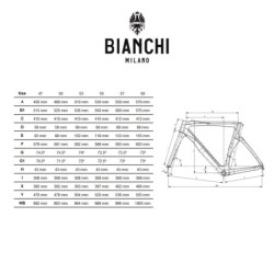 Bianchi Oltre Comp Di2: Rinde al Máximo - ¡Compra Ahora!