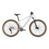 Bicicleta MTB Focus Whistler 3.8 gris: ¡Aventura y Estilo!