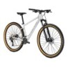 Bicicleta MTB Focus Whistler 3.8 gris: ¡Aventura y Estilo!