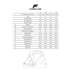 Bicicleta MTB Focus Thron 6.8 EQP 29 gris - ¡Compra ahora!