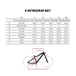 Bicicleta eléctrica Haibike Trekking 5 Low gris - ¡Explora hoy!