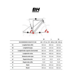 Bicicleta Eléctrica BH Atomx Lynx Carbon Pro 8.7 Gris - ¡Compra Ahora!
