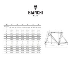 Bicicleta Bianchi Sprint Disc 12V: Velocidad y Estilo ¡Compra Ya!