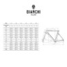 Bicicleta Bianchi Sprint Disc 12V: Velocidad y Estilo ¡Compra Ya!