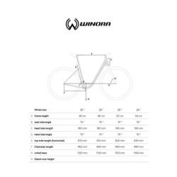 Bicicleta Eléctrica Winora Sinus iN5f 28 Negro - ¡Compra Ahora!