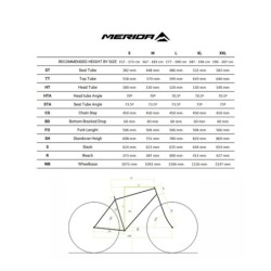 Bicicleta MTB Merida BIG NINE 3000 III 2024 Verde - ¡Compra Ahora!