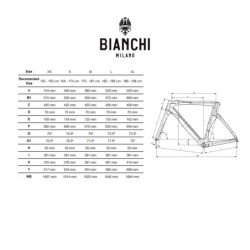 Bicicleta Gravel Bianchi Impulso Comp: ¡Aventura en Azul Cielo!