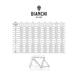 Bianchi Oltre Race 12V: Bicicleta de Carretera, ¡Compra Ahora!