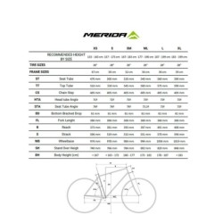 Bicicleta Carretera Merida Reacto 4000 Gris - ¡Compra Ahora!